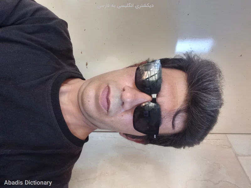 دیکشنری انگلیسی به فارسی